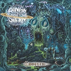 Rings of Saturn - Immaculate Order