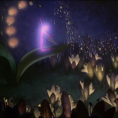 Contemporary:  Fairy Drazhe Dance (Chaikovsky)