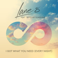 Lane 8 - I Got What You Need (Ft. Bipolar Sunshine)