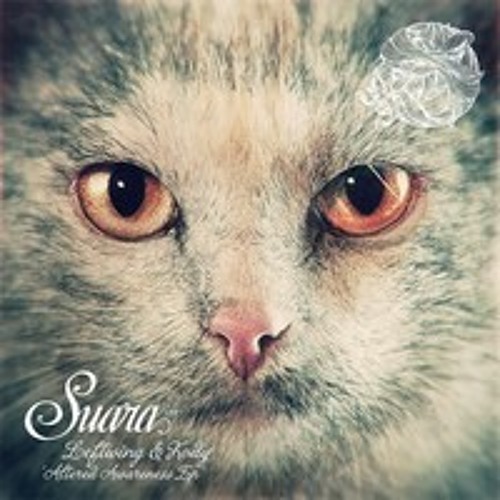 Leftwing & Kody - Right Now - Suara - Out Now