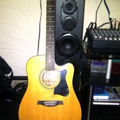 When You Say Nothing At All (Acoustic Guitar Cover)