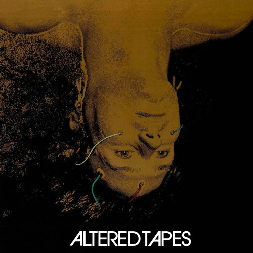 Altered Tapes at Taste of Randolph (June 2014)