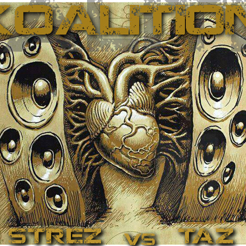 - KOALITION - STREZ vs TAZ -