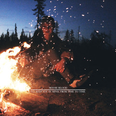 Moose Blood - Anyway