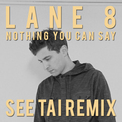 Lane 8 feat. Lucy Stone- Nothing You Can Say (SEE TAI Remix)