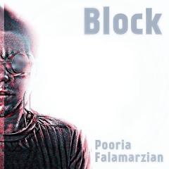 Pooria Falamarzian-Block