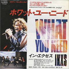 What You Need (Extended Remix) INXS
