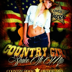 DVDJ Biggie's Country Girl Shake It Mix 2014