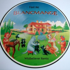 Blancmange - Feel Me (Wildbeliever Remix)
