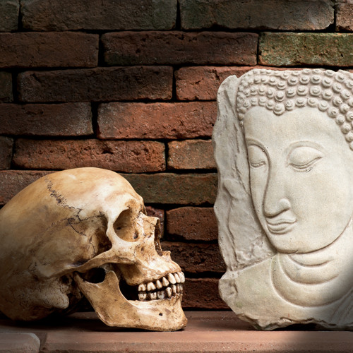 Mindfulness of Death