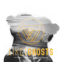 I've Made a Career out of Waiting for You