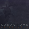 Kodacrome Strike&#x20;The&#x20;Gold Artwork