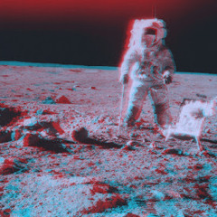 Astronauts Sleep Walk