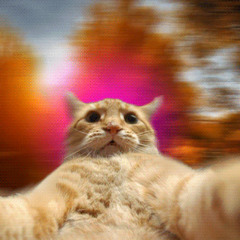 The Drop Is (Original Mixm)