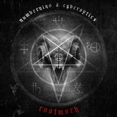 NumberNin6 vs Cyberoptics - Rootwork