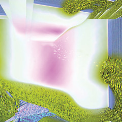 Le Révélateur - Stream Terminal