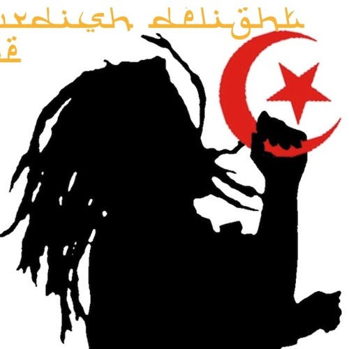 Kurdish Delight Live ! 2011
