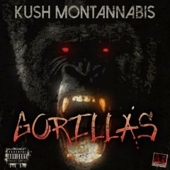 Kush Montannabis - Gorillas prod. by HULYONTHEBEAT