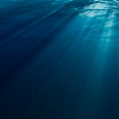 CHRIS LEARNED - SALT & WHISKEY