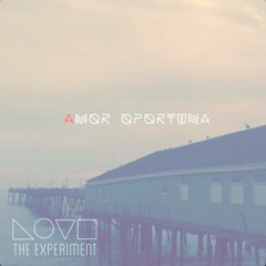 Love The Experiment - Untitled