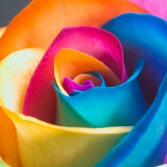 Martina McBride-Somewhere Over The Rainbow