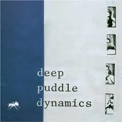 Deep Puddle Dynamics - Heavy Ceiling