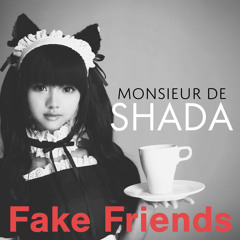 Monsieur de Shada - Fake Friends