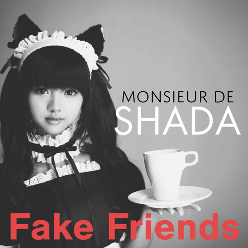 Monsieur de Shada - Fake Friends
