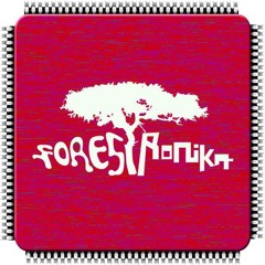 PreFlow - Forestronika 2014 Teaser