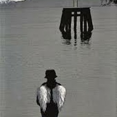 Beemedobleve - Indio Solari (TATU DJ)