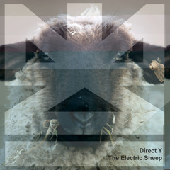 NZ004 | Direct Y - The Electric Sheep EP | Preview