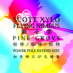 Scott Xylo - Flying Nimbus (Pine's Power Pole Extend Edit)