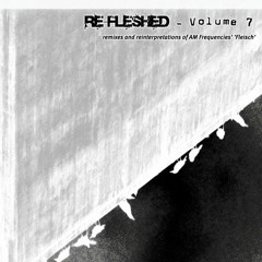 AM Frequencies feat. Moz Troniquz - 13 - Weathermen's Crow Museum