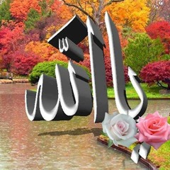 سورة الحجرات للشيخ عبد الباسط عبد الصمد