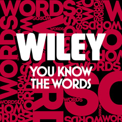 Wiley "You Know The Words" (Main Mix)