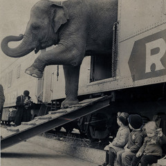 Patrick Power - Trading Post