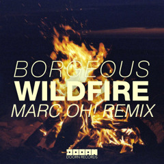 Borgeous - Wildfire (Marc Oh! Trap Remix) *Supported*