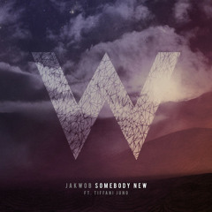 Jakwob_Somebody New (Rektchordz Remix)
