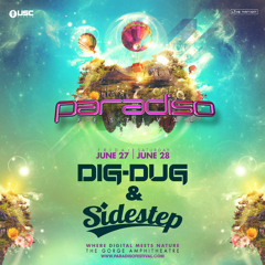 Dig-Dug & Sidestep at Paradiso 2014
