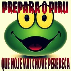 MC ENTO - CHUVA DE PERERECA_MUSICA NOVA 2014 NEW VERSAO (EQUIPE GAME OVER PRODUCOESS)