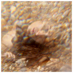 Various Tracks