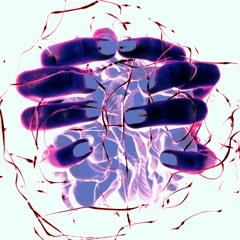 Ethereal (FREE DOWNLOAD)