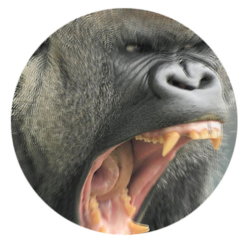 DOCTOR P - GOING GORILLAS (OSCILLATOR Z REMIX)