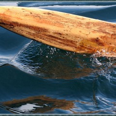 Requiem On Water (Imperial Mammoth Cover)- Mitch and Lydia