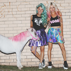 Unicorn Party!