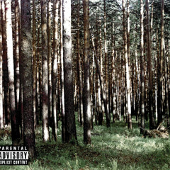 Welcome, To Olive Street