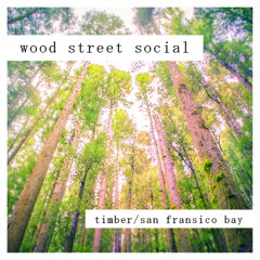Timber/San Fransisco Bay (Wood Street Remix Ft. Liz Tang)