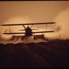 Treetop Flyer (Stephen Stills) - rough mix