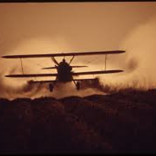 Treetop Flyer (Stephen Stills) - rough mix