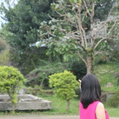 The Reason - hobbastank (cover)